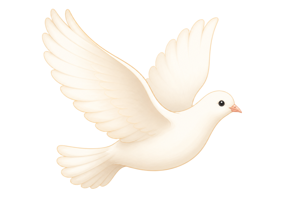 Peaceful dove